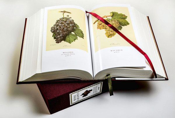 Dicionário das uvas, Wine Grapes